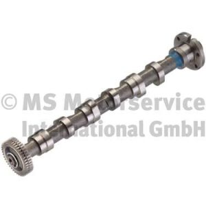 Ax cu came AUDI A4 B8 (8K2) 3.0 TDI quattro diesel 240 cai KOLBENSCHMIDT 50007003