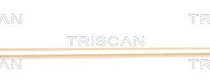 Bieleta antiruliu AUDI A3 (8P1) 1.6 TDI diesel 90 cai TRISCAN 8500 29621