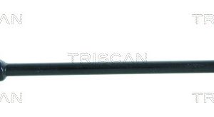 Bieleta antiruliu AUDI A3 (8L1) S3 quattro benzina 224 cai TRISCAN 8500 29641