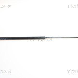 Amortizor capota AUDI A4 B7 Cabriolet (8HE) S4 quattro benzina 344 cai TRISCAN 8710 29112