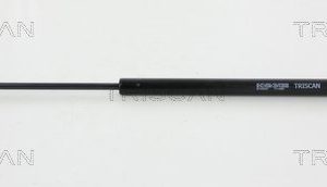 Amortizor portbagaj AUDI A4 B5 Avant (8D5) S4 quattro benzina 265 cai TRISCAN 8710 29221