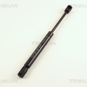 Amortizor portbagaj AUDI A4 B5 (8D2) 2.6 quattro benzina 150 cai TRISCAN 8710 29231