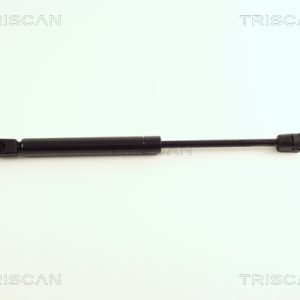 Amortizor portbagaj AUDI A4 B6 (8E2) S4 quattro benzina 344 cai TRISCAN 8710 29248