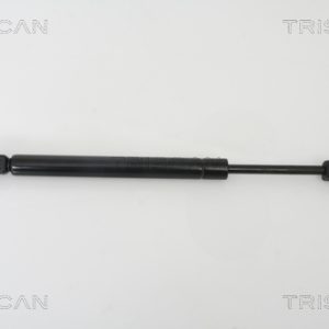 Amortizor portbagaj AUDI A4 B7 (8EC) 2.0 TDI quattro diesel 170 cai TRISCAN 8710 29260