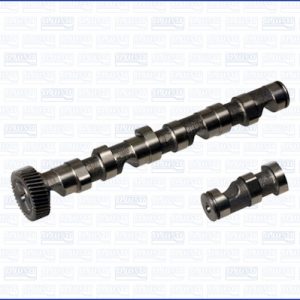 Ax cu came AUDI A4 B6 (8E2) 2.5 TDI quattro diesel 180 cai AJUSA 93130700