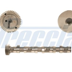 Ax cu came AUDI A4 B6 Avant (8E5) 2.5 TDI quattro diesel 180 cai FRECCIA CM05-2122