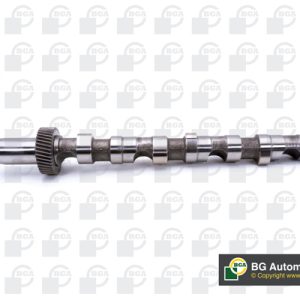 Ax cu came AUDI A4 B6 Avant (8E5) 2.5 TDI quattro diesel 180 cai BGA CS1526