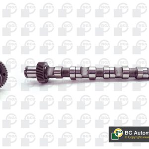 Ax cu came AUDI A4 B6 Avant (8E5) 2.5 TDI quattro diesel 180 cai BGA CS1529