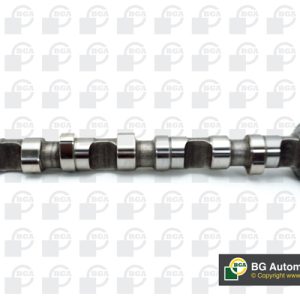 Ax cu came AUDI A4 B6 (8E2) 2.5 TDI quattro diesel 180 cai BGA CS3594