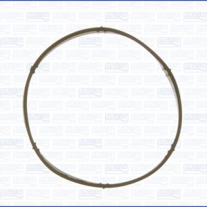 Garnitura Carcasa galerie admisie AUDI A3 Sportback (8PA) 1.6 benzina 102 cai AJUSA 01044500
