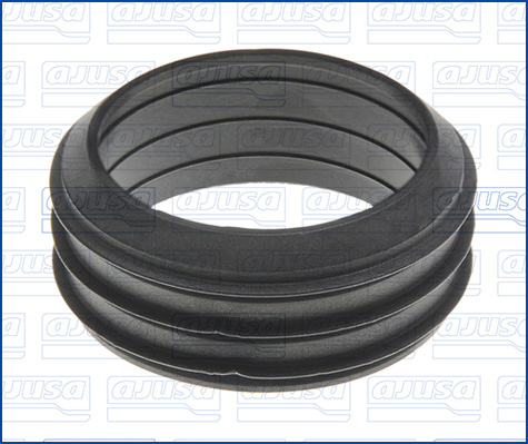 Garnitura galerie admisie AUDI A3 Sportback (8PA) 1.6 benzina 102 cai AJUSA 01110900