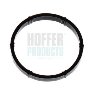 Garnitura galerie admisie AUDI A3 Sportback (8PA) 1.6 benzina 102 cai HOFFER 016153