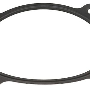Garnitura Carcasa galerie admisie AUDI A3 Sportback (8YA, 8YF) RS3 quattro benzina 407 cai ELRING 744.020