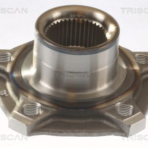 Butuc roata AUDI A4 Allroad B9 (8WH, 8WJ) 45 TDI quattro diesel 231 cai TRISCAN 8535 29027