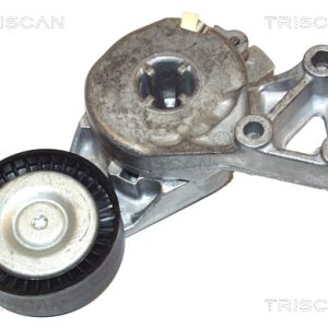 Intinzator curea transmisie AUDI A3 (8P1) 1.6 E-Power Benzina/Etanol 102 cai TRISCAN 8641 293003
