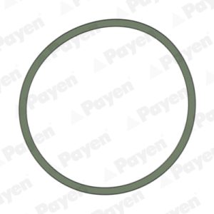 Garnitura galerie admisie AUDI A3 Limousine (8VS, 8VM) 1.4 TFSI benzina 122 cai PAYEN JD5228