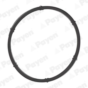 Garnitura galerie admisie AUDI A3 Sportback (8PA) 1.6 benzina 102 cai PAYEN JD6171