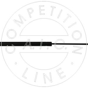 Amortizor portbagaj AIC 53901 – AUDI | AutoRival
