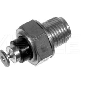 Senzor temperatura lichid de racire MEYLE 100 919 0015 – AUDI | AutoRival