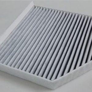 Filtru aer habitaclu MTR 12138661