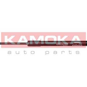 Amortizor portbagaj BMW Seria 1 cupe (E82) 120 d diesel 177 cai KAMOKA 7092050