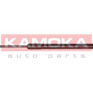 Amortizor portbagaj BMW Seria 3 cupe (E92) 330 i xDrive benzina 272 cai KAMOKA 7092053