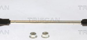 Bieleta antiruliu BMW Seria 2 cupe (G42, G87) 218 i benzina 156 cai TRISCAN 8500 116004