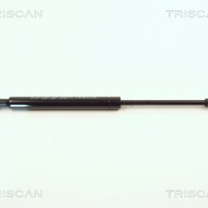 Amortizor capota BMW Seria 3 (E46) 318 i benzina 136 cai TRISCAN 8710 11107