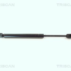 Amortizor portbagaj BMW Seria 3 cupe (E36) 325 i benzina 192 cai TRISCAN 8710 11201