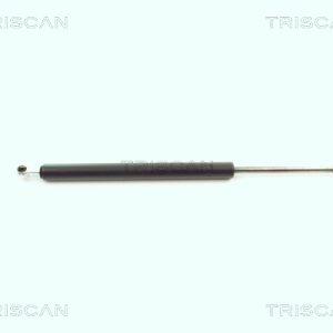Amortizor portbagaj BMW Seria 3 (E46) 323 i benzina 170 cai TRISCAN 8710 11216