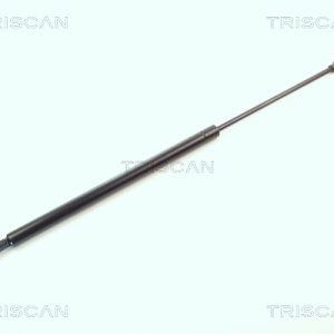Amortizor portbagaj BMW Seria 3 Touring (E46) 320 d diesel 136 cai TRISCAN 8710 11218
