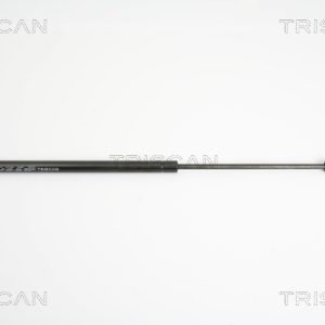 Amortizor portbagaj BMW Seria 3 Touring (E91) 335 d diesel 286 cai TRISCAN 8710 11225