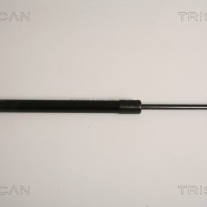 Amortizor portbagaj BMW Seria 3 cupe (E92) 330 xd diesel 245 cai TRISCAN 8710 11231