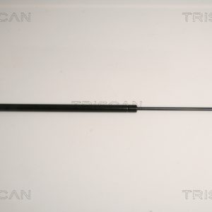 Amortizor portbagaj BMW Seria 3 Compact (E46) 318 td diesel 115 cai TRISCAN 8710 11235