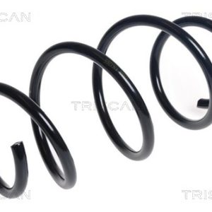 Arc spiral BMW Seria 2 Active Tourer (F45) 220 d xDrive diesel 190 cai TRISCAN 8750 11229