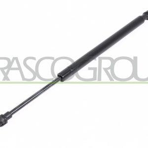 Amortizor portbagaj BMW Seria 3 (E90) 316 i benzina 122 cai PRASCO BM0249055