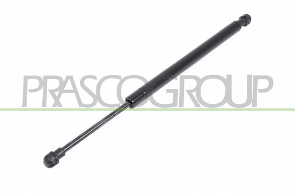Amortizor portbagaj BMW Seria 3 (E90) 316 i benzina 122 cai PRASCO BM0249055