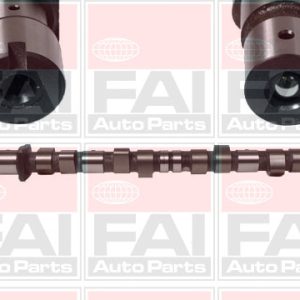 Ax cu came BMW Seria 3 (E36) 316 i benzina 100 cai FAI AUTOPARTS C175
