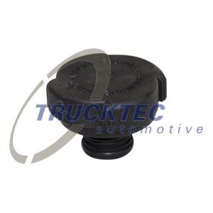 Buson vas expansiune BMW Seria 3 Cabriolet (E46) 318 Ci benzina 136 cai TRUCKTEC AUTOMOTIVE 08.19.110