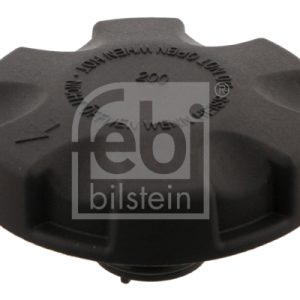 Buson vas expansiune BMW Seria 3 (E90) M3 CRT benzina 450 cai FEBI BILSTEIN 29607