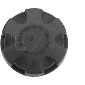 Buson radiator BMW Seria 3 cupe (E92) M3 benzina 420 cai MEYLE 314 238 0003