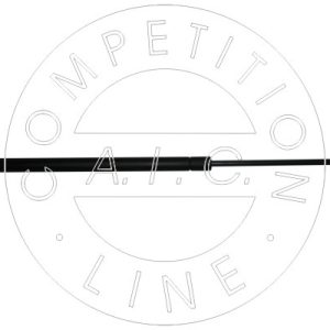 Amortizor portbagaj AIC 53827 – BMW | AutoRival