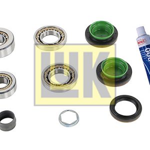 Set reparatie diferential LUK 462 0147 10