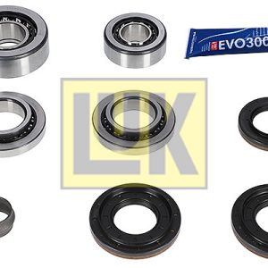 Set reparatie diferential LUK 462 0215 10