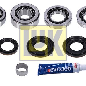 Set reparatie diferential LUK 462 0216 10