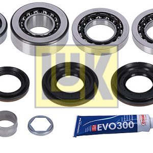 Set reparatie diferential LUK 462 0330 10