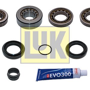 Set reparatie diferential LUK 462 0398 10
