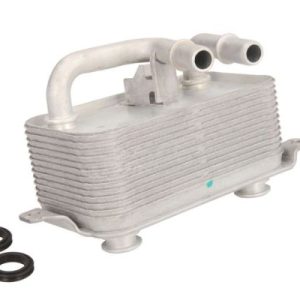 Radiator ulei motor THERMOTEC D4B003TT