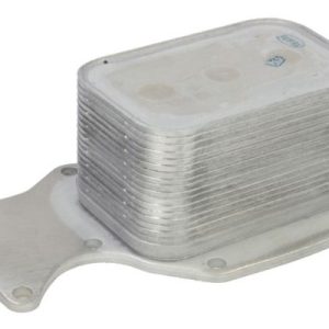 Radiator ulei motor THERMOTEC D4B031TT