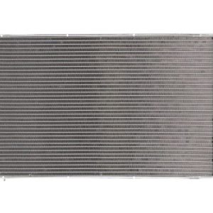 Radiator racire motor THERMOTEC D7B025TT
